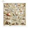  las, grzyby, ptaki, owady, natura, vintage, akwarela, retro*forest, mushrooms, birds, insects, nature, vintage, watercolor, retro